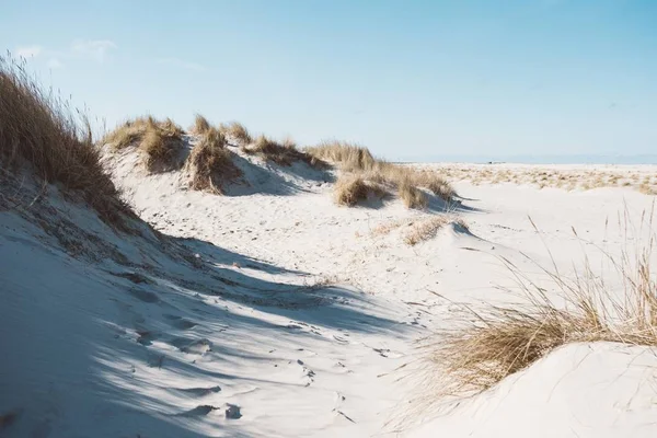 Ένα Ευρύ Οπτικό Πεδίο Ενός Τοπίου Από Άμμο Και Ξηρά — Φωτογραφία Αρχείου