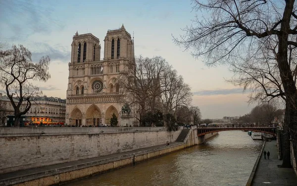 Szczegóły architektury w Paryżu, Notre Dame. — Zdjęcie stockowe