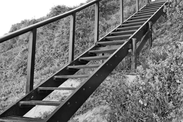 Uma Imagem Tons Cinza Uma Escada Cimo Colina Rodeada Por — Fotografia de Stock