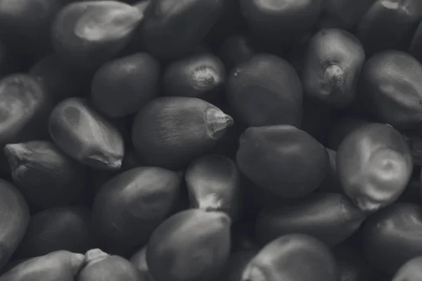 Eine Graustufen Nahaufnahme Von Vielen Popcornkörnern Großartig Für Einen Schwarz — Stockfoto