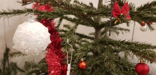 Árvore de Natal bonita decorada com diferentes ornamentos — Fotografia de Stock