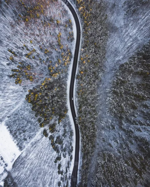 Vue aérienne descendante d'une longue route au milieu des arbres et de la neige — Photo