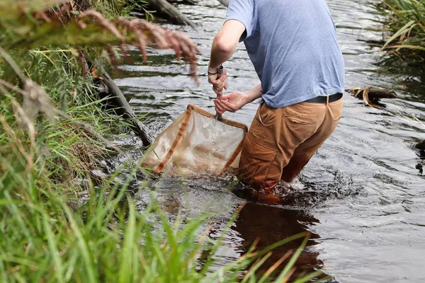 Een Persoon Die Een Schoonmaaknet Vasthoudt Terwijl Hij Het Meer — Stockfoto