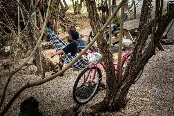 森の真ん中に停まっている赤い自転車 — ストック写真