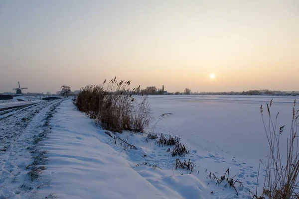 Ein Leeres Schneebedecktes Feld Mit Büschen Unter Einem Nebligen Himmel — Stockfoto