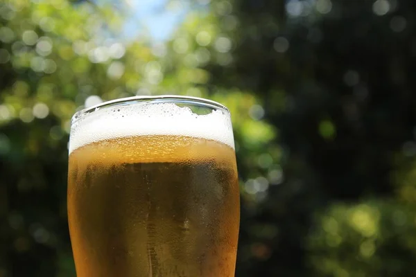 Closeup shot of a glass of cold beer with a blurred background — Stock Photo, Image