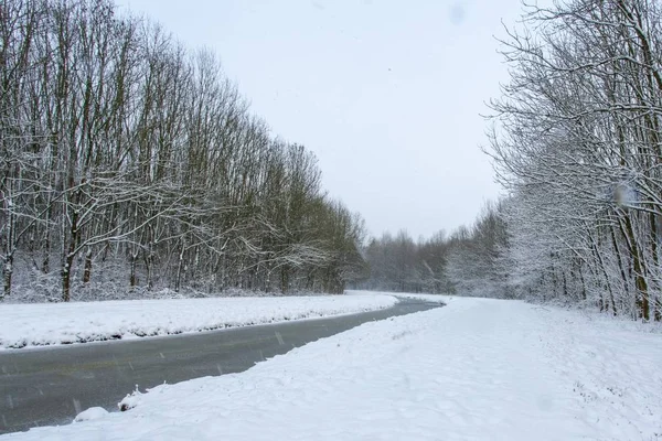 Ein Wasserlauf Inmitten Verschneiter Felder Mit Schneebedeckten Bäumen — Stockfoto