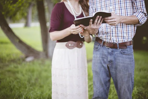 Casal lendo a bíblia em um jardim sob a luz do sol com um fundo borrado — Fotografia de Stock