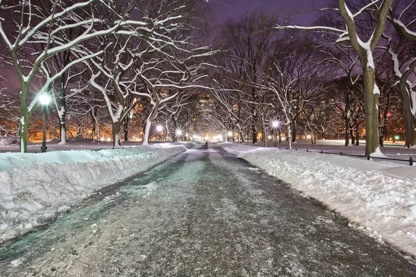 Schöne Nachtansicht einer zugefrorenen Straße in einem Winterpark, umgeben von schneebedeckten Bäumen — Stockfoto