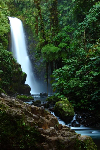 Вертикальний Знімок Величних Водоспадів Пас Посеред Буйного Лісу Кінчона Коста — стокове фото