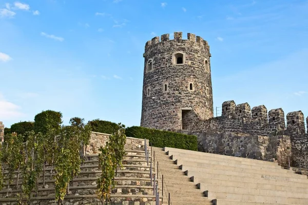 Ősi történelmi torony érintette a tiszta égboltot Grúziában — Stock Fotó