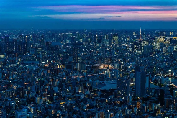 东京夜晚的空中风景，天空的色调是粉红色和蓝色的 — 图库照片