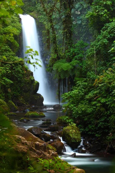 Pionowe Ujęcie Majestatycznego Wodospadu Paz Środku Bujnego Lasu Cinchona Kostaryka — Zdjęcie stockowe
