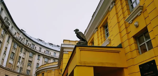 Statua del corvo sul Corvin Cinema di Budapest, Ungheria — Foto Stock