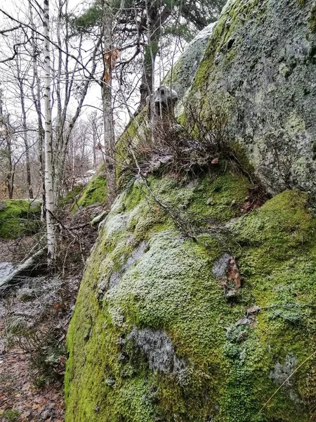 ノルウェーのラルヴィクの森の苔に覆われた岩の形成物の垂直閉鎖ショット — ストック写真