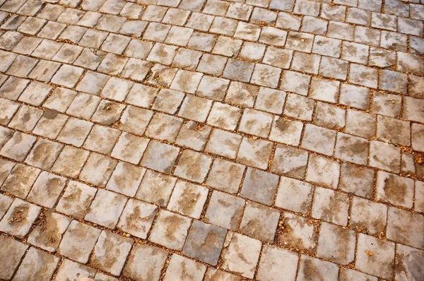 Cerradura de alto ángulo de un pavimento adoquinado con baldosas cuadradas beige. —  Fotos de Stock