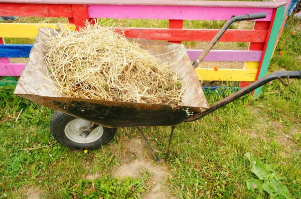 Chariot de jardin rempli d'herbe sèche — Photo