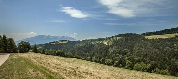 Fotografia panorâmica de uma bela paisagem em Koroska, Eslovénia, no verão — Fotografia de Stock