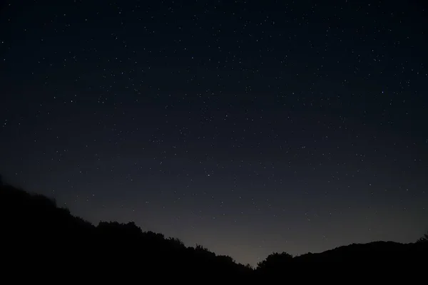 Silhouettenaufnahme von Gräsern mit einem Sternenhimmel im Hintergrund — Stockfoto