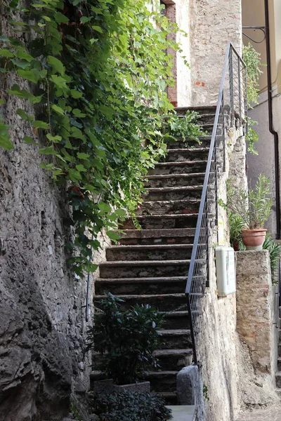 Eine Vertikale Aufnahme Von Treppen Grünen Reben Der Weißen Wand — Stockfoto