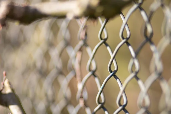Encerramento tiro de uma cerca de ligação em cadeia cinza com um fundo borrado — Fotografia de Stock