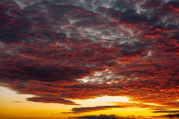 Alacsony szögű lövés a felhők a kék ég egy gyönyörű felkelő nap — Stock Fotó
