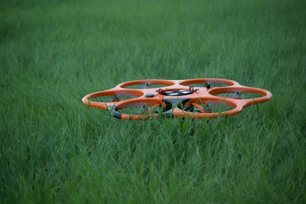 Drone orange — Photo