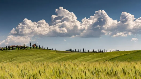 Landscape shot of val d'orcia tuscany italy with a cloudy sunny blue sky in the background — Stock Photo, Image