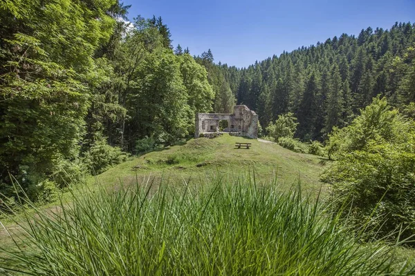Ruïnes van een oud kasteel in Vuzenica, Slovenië overdag in de zomer — Stockfoto