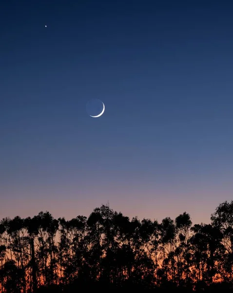 Silhueta disparada de árvores com uma lua crescente no céu azul escuro — Fotografia de Stock