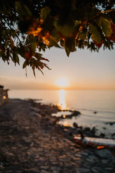 Κάθετη λήψη ενός ηλιοβασιλέματος στον ωκεανό που φαίνεται κάτω από ένα κλαδί δέντρου — Φωτογραφία Αρχείου