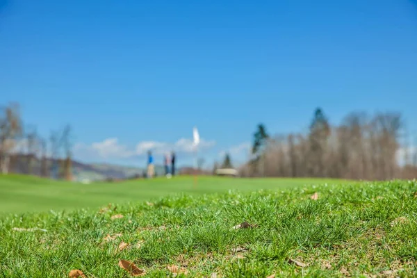 Närbild skott av gräsbevuxen mark av en golfbana med en suddig bakgrund — Stockfoto