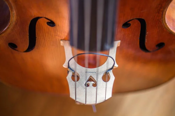 背景がぼやけているバイオリンの弦のクローズアップショット。 — ストック写真