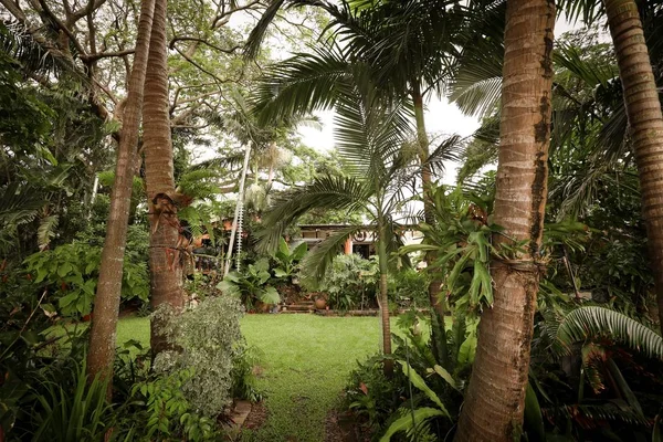 Wide angle shot of a country house surrounded by trees and greenery — Stock Photo, Image