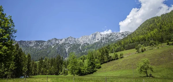 Imagem panorâmica de uma bela paisagem da região de Charíntia, na Eslovénia, no verão — Fotografia de Stock
