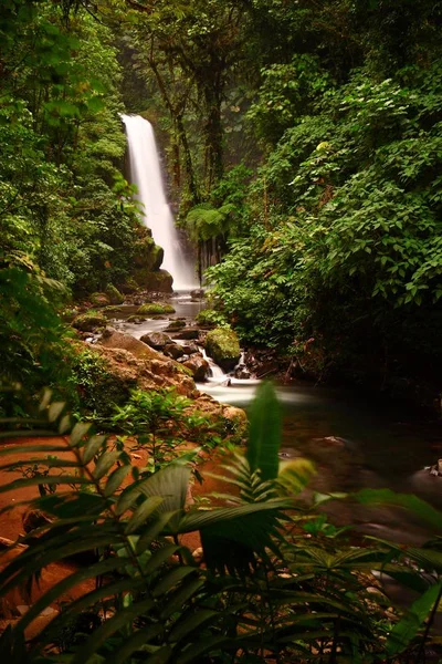 Długie Ujęcie Majestatycznego Wodospadu Paz Środku Bujnego Lasu Cinchona Kostaryka — Zdjęcie stockowe