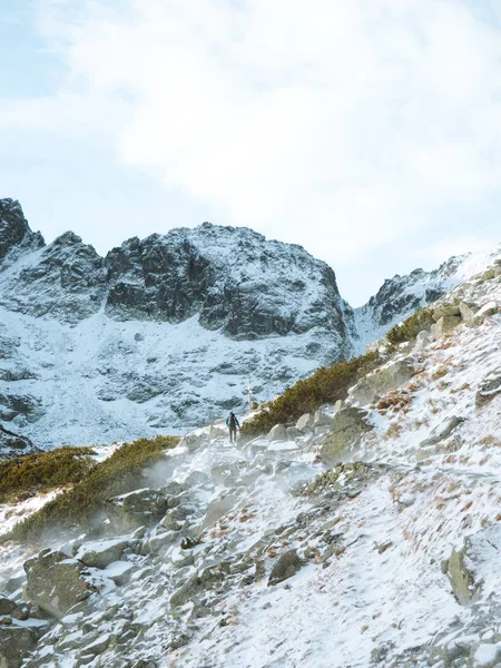Lange verticale foto van een winterlandschap met een man wandelen in het Tatra gebergte in Polen — Stockfoto