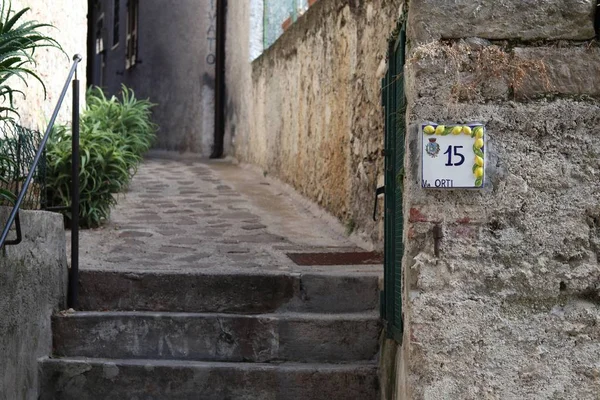 Landscape shot of stairs, green plants on the side and a fifteen signage on the gray wall — Stock Photo, Image