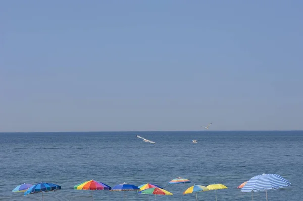 Meereslandschaft umgeben von bunten Sonnenschirmen, über denen tagsüber Möwen fliegen — Stockfoto
