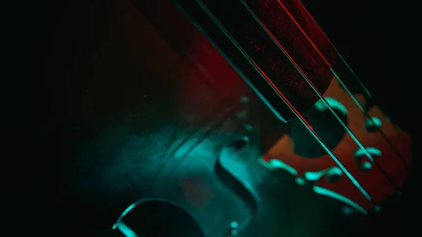 Primo piano girato di corde di violino con una luce verde su di esso — Foto Stock