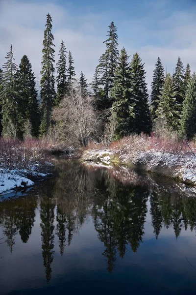 Vuelo vertical de un río en medio de campos con árboles bajo cielo azul en Canadá. — Foto de Stock
