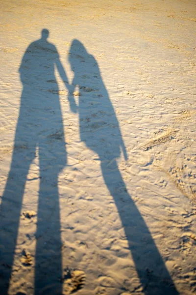 갈색 모래 위에서 서로 손을 잡고 있는 부부의 그림자를 수직으로 찍은 사진 — 스톡 사진
