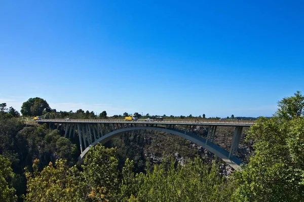 Ponte cercada por vegetação sob o céu limpo no Parque Nacional Garden Route — Fotografia de Stock