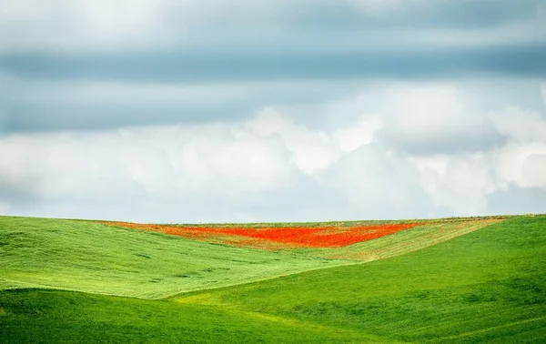 Gros plan d'un champ vert et rouge sous un ciel nuageux pendant la journée — Photo