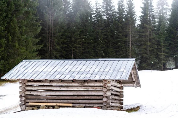 Maison en bois en hiver en face d'une forêt — Photo