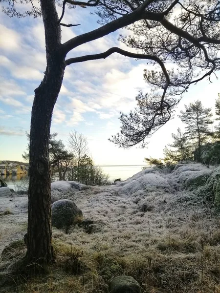 Scatto verticale di un fiume circondato da paesaggi naturali a Stavern, Norvegia — Foto Stock