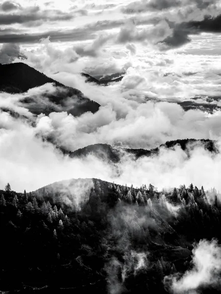 Verticale grijswaarden opname van beboste bergen boven de wolken in grober priel — Stockfoto