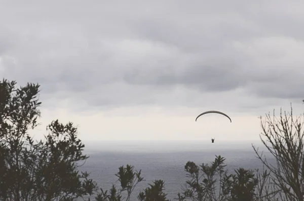 Hermosa vista de una persona parapente sobre los árboles y el océano en el clima nublado —  Fotos de Stock