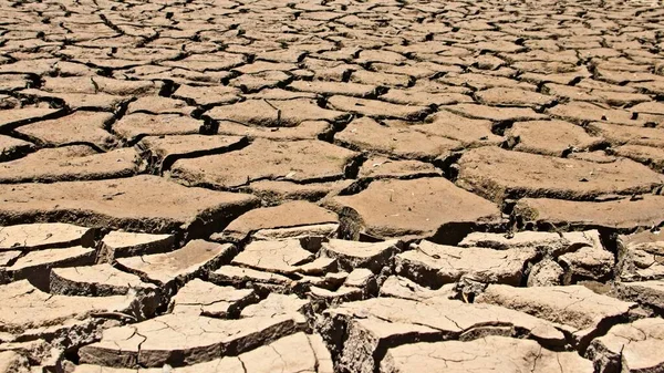 Imagen de concepto de sequía consistente en un lecho de río seco agrietado — Foto de Stock