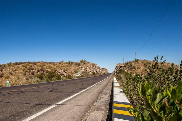 High angle shot of a highway surrounded by hills with exotic plants — 스톡 사진